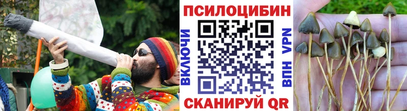 Галлюциногенные грибы Magic Shrooms  это официальный сайт  Железногорск 